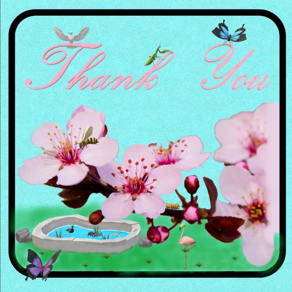 100 (2x2 Inch) Square Stickers, Cherry Blossom Butterfly High Gloss, Thank You - Picture 3 of 3